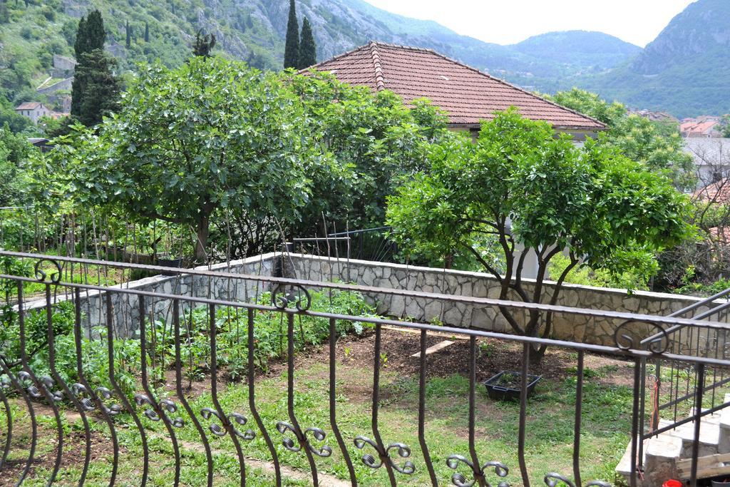 Apartments Villa Marta - Begovic Kotor Eksteriør bilde