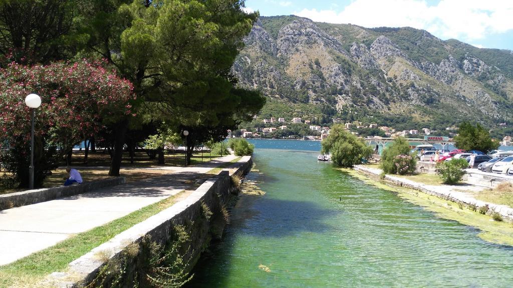 Apartments Villa Marta - Begovic Kotor Eksteriør bilde